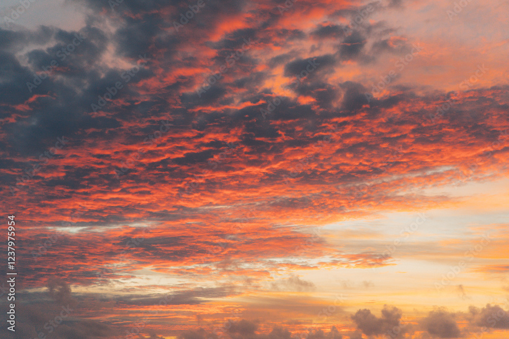 Obraz premium Pink cumulus clouds