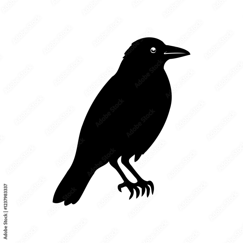 Obraz premium Black raven silhouette on white background isolated