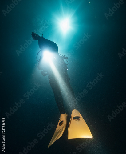 diver ascending from a nightdive in the Maldives photo