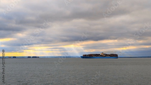 Cargo ship in the sea