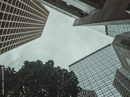 A low-angle, close-up view of skyscrapers in Hong Kong, their imposing structures dwarfing a lone tree below.  The overcast sky fills the upper frame. photo