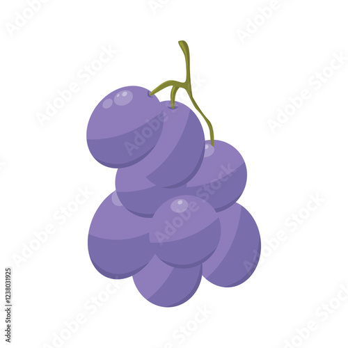 Grapes fruit illustration isolated on white
