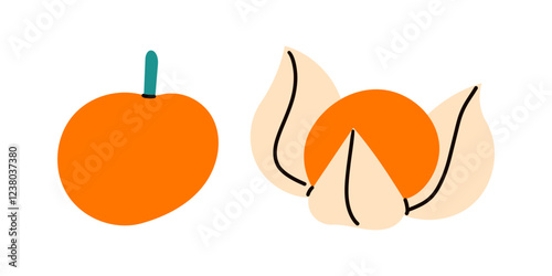 Cape gooseberry fruit isolated on white background. Physalis peruviana, goldenberry, aguaymanto, uvilla or uchuva vector icon. Illustration of exotic tropical fruits in flat style.