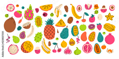 Set hand drawn colorful tropical fruits and berries. Modern abstract minimal style. Natural tropical fruits. Cherry, banana, pomegranate, pineapple, fig . Vector illustration isolate on white .