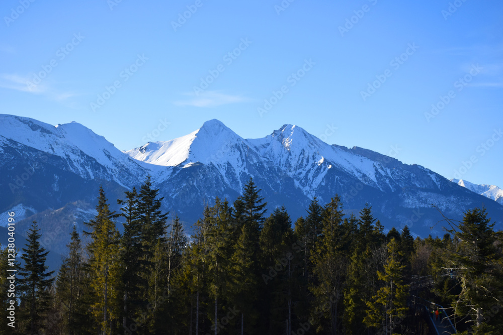 Fototapeta premium Majestic snow-covered high Tatras rise above the dense evergreen pine forest, breathtaking alpine scene under the clear blue sky. Wilderness and tranquility. Skiers, hikers, adventure lovers.