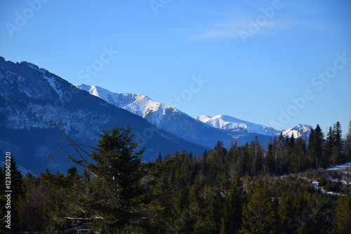 Majestic snow-covered high Tatras rise above the dense evergreen pine forest, breathtaking alpine scene under the clear blue sky. Wilderness and tranquility. Skiers, hikers, adventure lovers. 