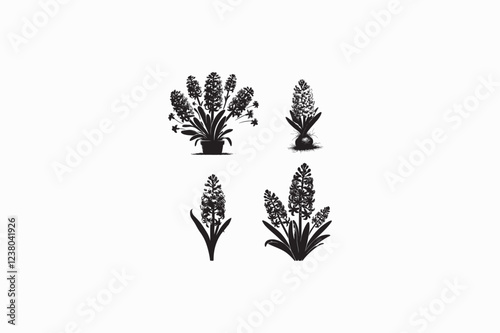 A Hyacinth Flower silhouette black and white image made by adobe illustrator. eps