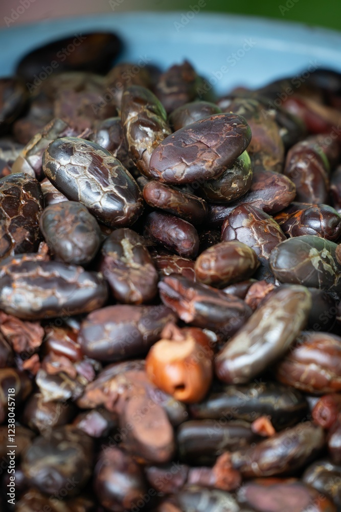 Close-up of raw cocoa beans with cracked surfaces. Close-up of raw cocoa beans with cracked surfaces.