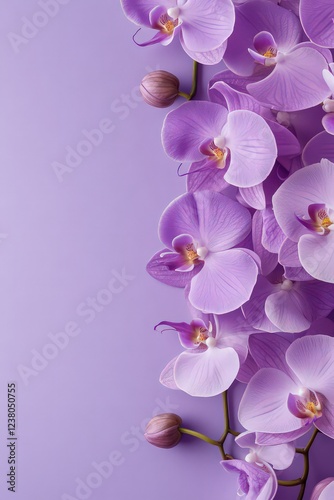 Macro close-up of orchid flowers perfect for wallpaper or desktop background