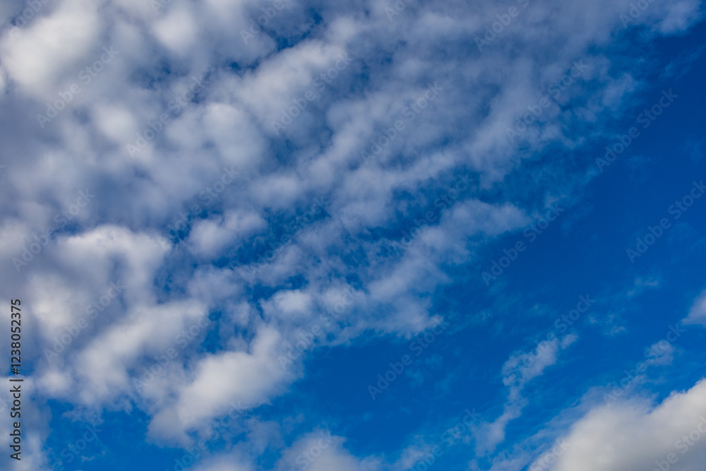 Fototapeta premium clouds in the blue sky