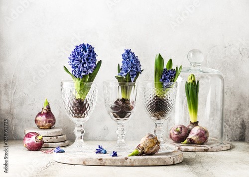 Spring floristic arrangement with blue hyacinth flowers in a vintage glasses and bulbs. Homemade decoration for Easter or Mother day. Copy space. photo
