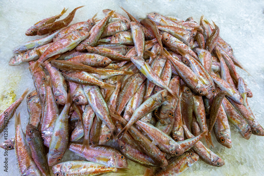 Foca, Türkiye - Eski Foca, a town on the Aegean coast, fresh seafood from the fish market. Foca, Türkiye - Eski Foca, a town on the Aegean coast, fresh seafood from the fish market.