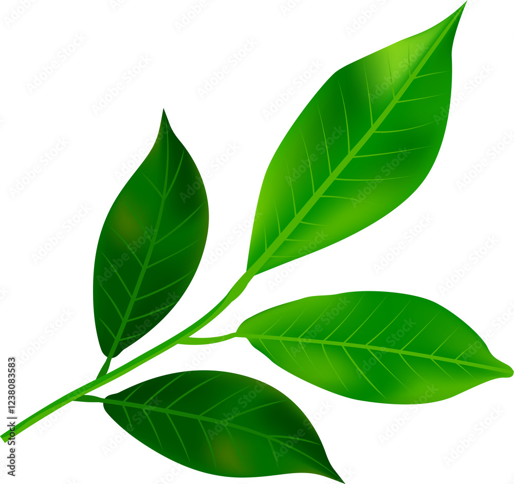 Naklejka premium Green leaves with branch illustration design, PNG file no background 