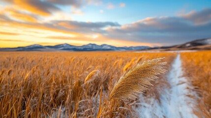 Stickers Plage et Mer Golden sunrise over snowy field, mountains background, nature serenity  © BROPRADANA