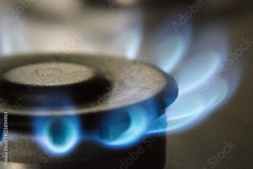 Obraz na płótnie Gas fire on the kitchen stove.
w salonie