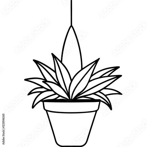 aloe vera plant