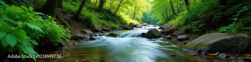 serene water stream flowing gently through forest trees, serene, foliage, tranquil