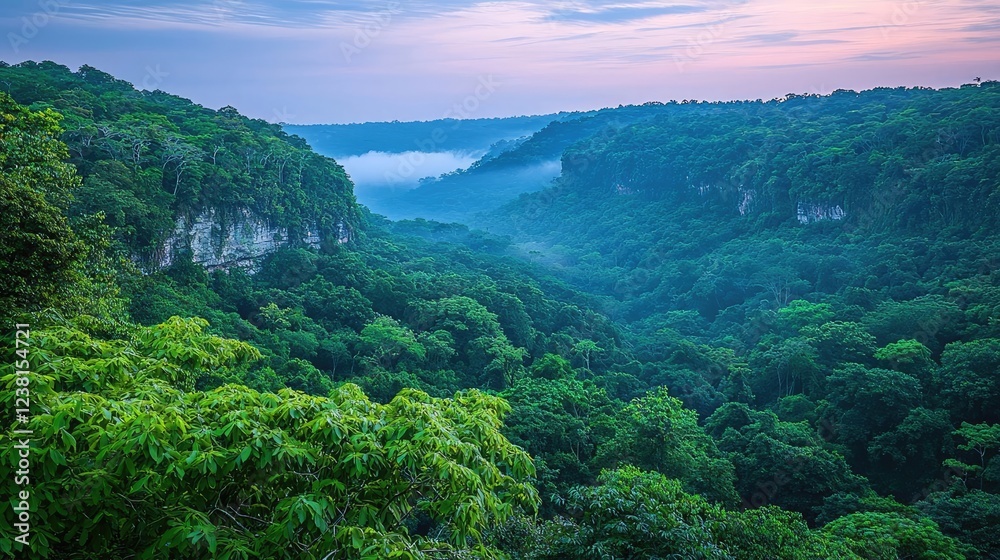 Rainforest scenes nature concept. A serene view of a lush green valley during twilight with misty hills in the background. Rainforest scenes nature concept. A serene view of a lush green valley during twilight with misty hills in the background.
