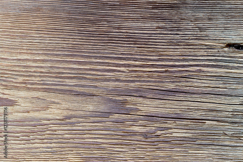 Obraz na płótnie The old wood texture with natural patterns w salonie