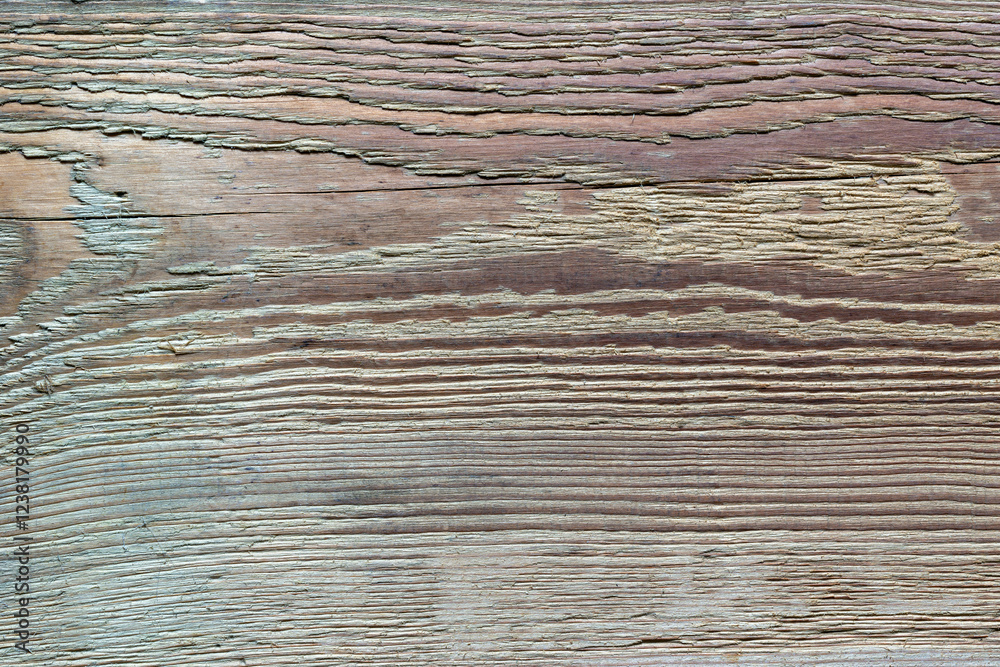 The old wooden plank is weathered, cracked, and rough.