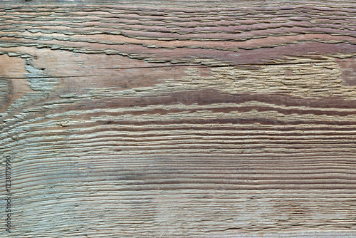 Obraz na płótnie The old wooden plank is weathered, cracked, and rough. w salonie