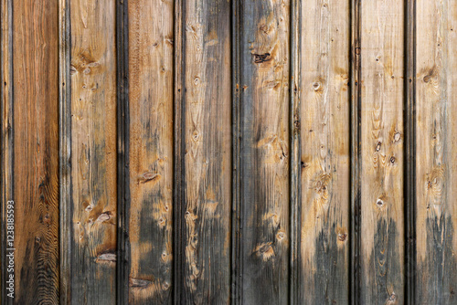 Obraz na płótnie The old wood texture with natural patterns w salonie