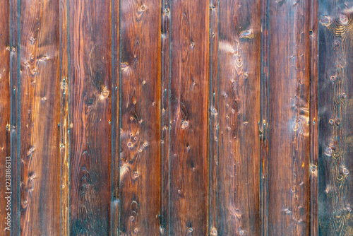 Obraz na płótnie The old wood texture with natural patterns w salonie