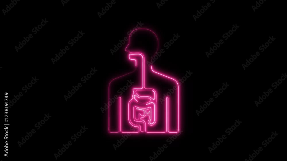Glowing Neon Gastrointestinal Tract Icon, Symbol of Digestive Health, HD Video Motion Graphic Animation on Black Background Glowing Neon Gastrointestinal Tract Icon, Symbol of Digestive Health, HD Video Motion Graphic Animation on Black Background