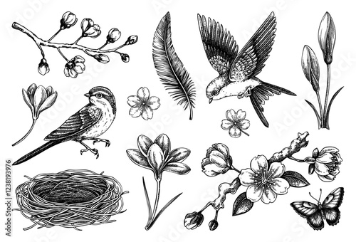 Hand-drawn spring sketches. Flying birds, sakura flowers, birdhouse, saffron vector illustrations. Easter design elements. NOT AI generated