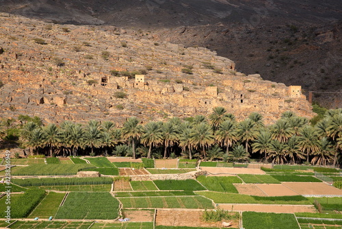 The old Ghul village, located 12 km west of Al Hamra and on the road to Jebel Shams, Al Dakhiliyah, Oman, with lush date plantations in the foreground photo