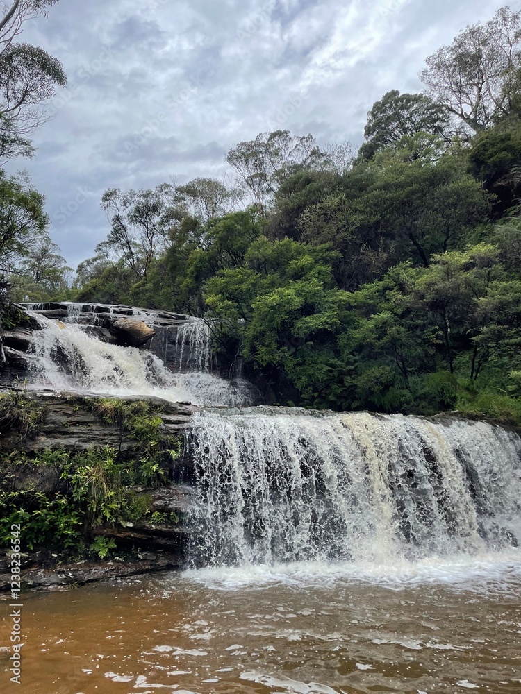 Fototapeta premium waterfall in the forest