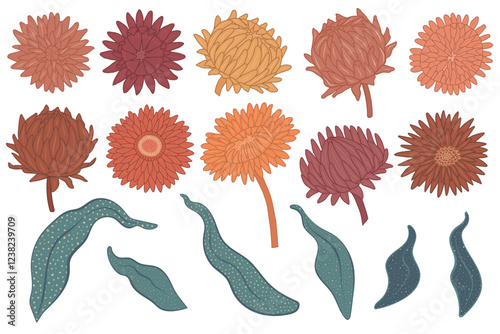 Monochrome vector flowers illustration set. Hand drawn outline with fill strawflower, chrysanthemum blooms and leaves with dotted texture isolated on white background. Modern elegant floral elements