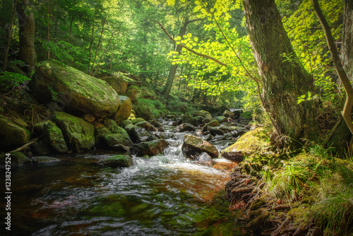 Romantic German River in Summer with Rocks Waterfall and Sunlight