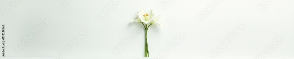 A minimalist cross made from simple white lily stems on a clean white surface, leafy, lilies, clean A minimalist cross made from simple white lily stems on a clean white surface, leafy, lilies, clean