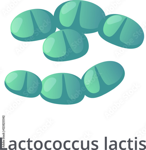 Lactococcus lactis bacteria forming a chain and a cluster, probiotic bacterium, lactic acid bacterium, isolated on white background, 3d rendering