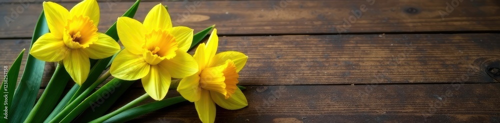 Obraz premium Daffodil stem and leaves with yellow blooms on a wood surface, daffodil, organic