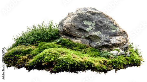 Green moss accompanied by ornamental stone isolated on a transparent background