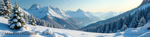 Nordmann fir in plastic netting against Gamidaurspitz mountain, plastic, snow, evergreen photo