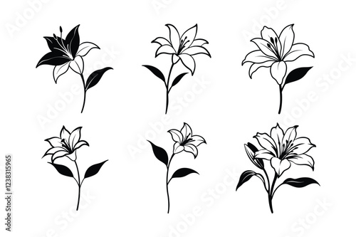 Alstroemeria (Alstroemeria spp.) line art vector illustration