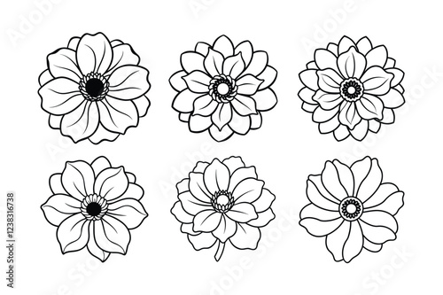 Anemone (Anemone spp.) line art vector illustration