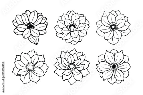 Anemone (Anemone spp.) line art vector illustration