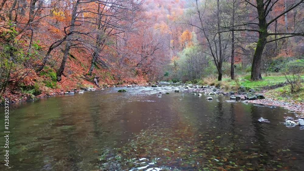 Beautiful mountain landscape. Flying at low altitude above a mountain river. Trees with yellow-orange leaves. Beautiful mountain landscape. Flying at low altitude above a mountain river. Trees with yellow-orange leaves.