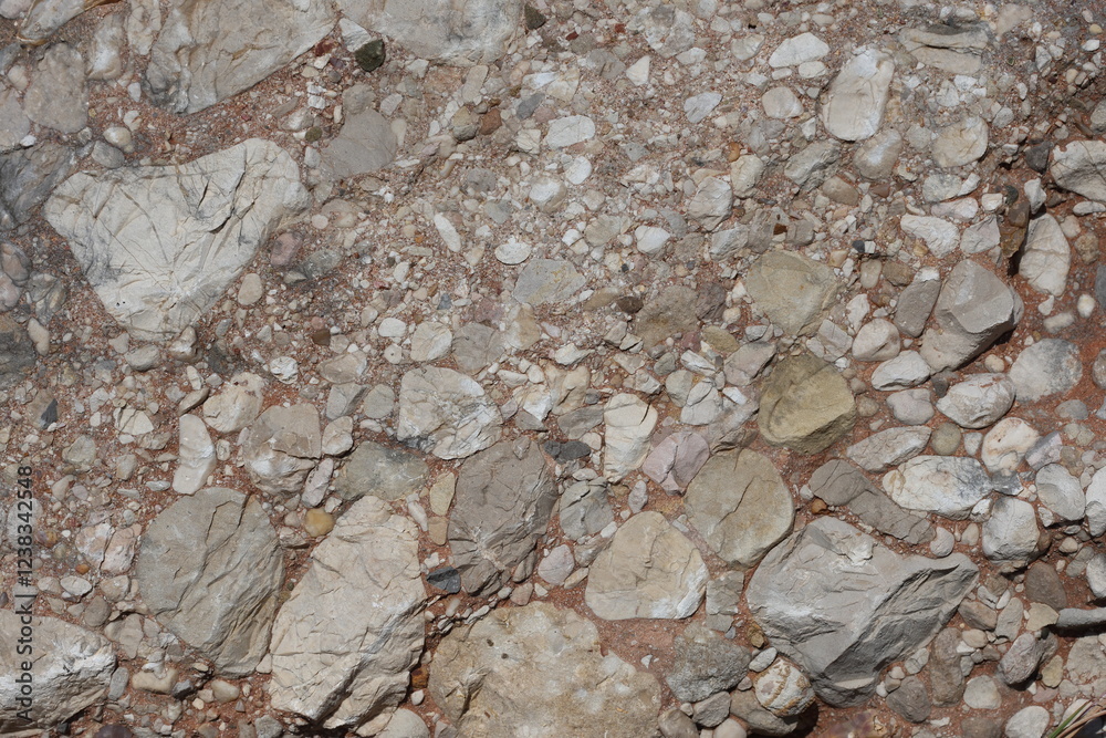 a conglomerate composed of rounded to subangular gravel-size clasts. a conglomerate composed of rounded to subangular gravel-size clasts.