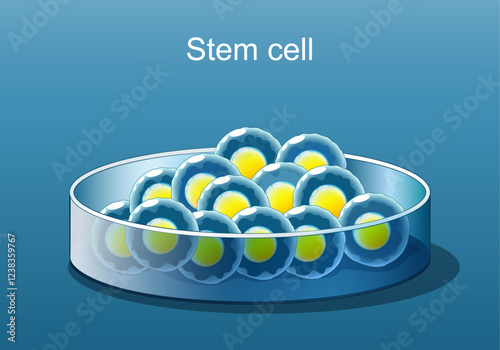 Stem cell therapy. Close-up of Stem cells in Petri dish.