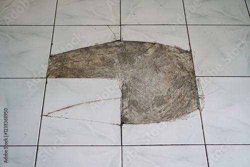 Close-up view of damaged floor tiles showing cracks and missing pieces. Needs repair or replacement. Damaged Floor Tiles: Home Repair and Renovation Needed