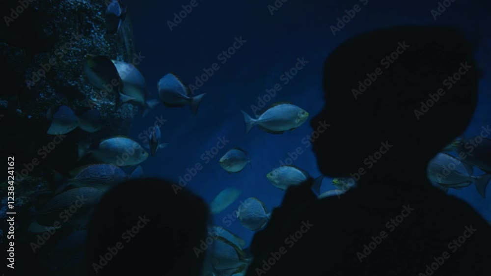 A dark frame with silhouettes of children watching beautiful blue fish during an excursion in the aquarium. Introducing children to new species of living creatures. High quality 4k footage