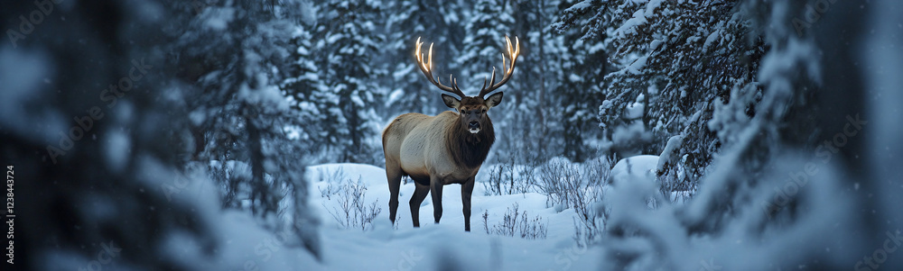 Majestic Elk in Winter Wonderland: A majestic elk with impressive antlers stands tall amidst a serene snowy forest, its presence commanding attention and evoking a sense of awe and wonder. Majestic Elk in Winter Wonderland: A majestic elk with impressive antlers stands tall amidst a serene snowy forest, its presence commanding attention and evoking a sense of awe and wonder.