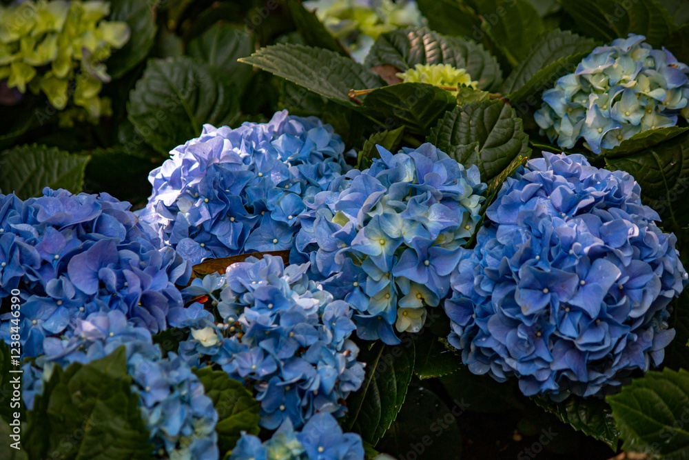 Flowers in the Moment of Love Flowers in the Moment of Love