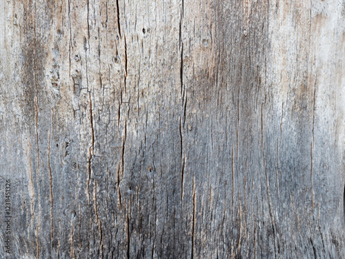 Obraz na płótnie Close up wood pattern and texture for nature Background. w salonie