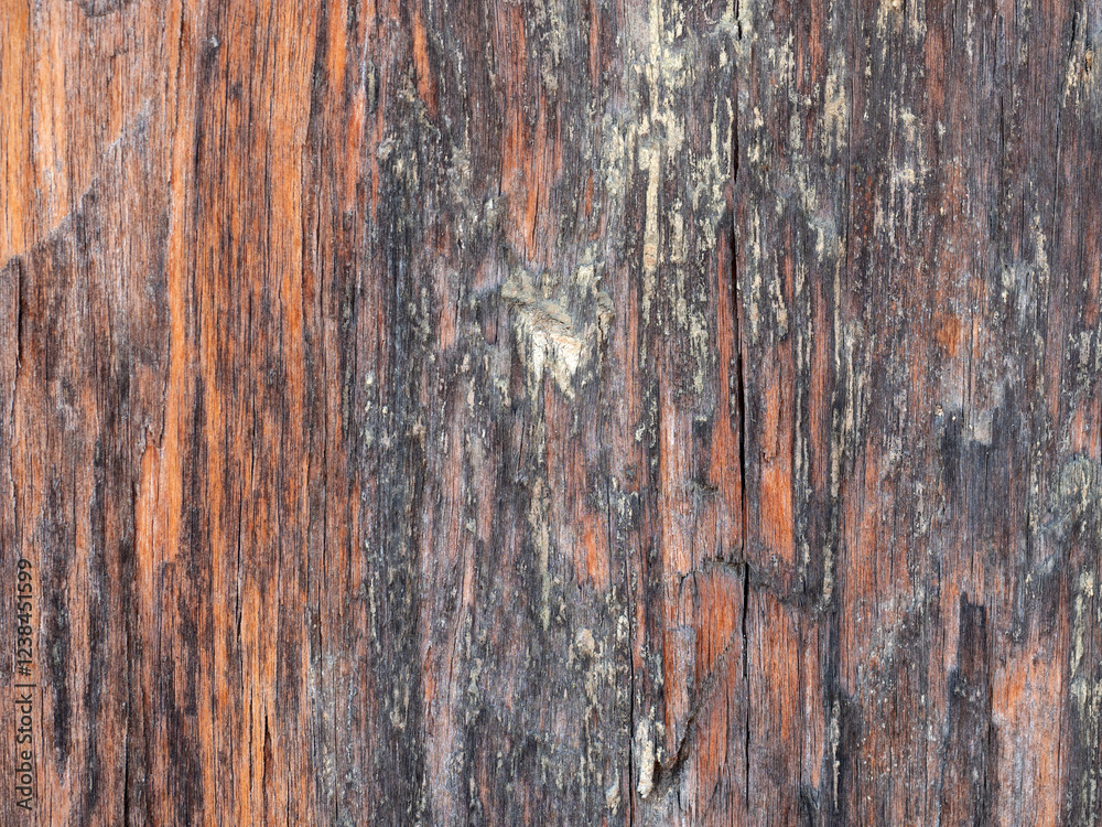 Close up wood pattern and texture for nature Background.